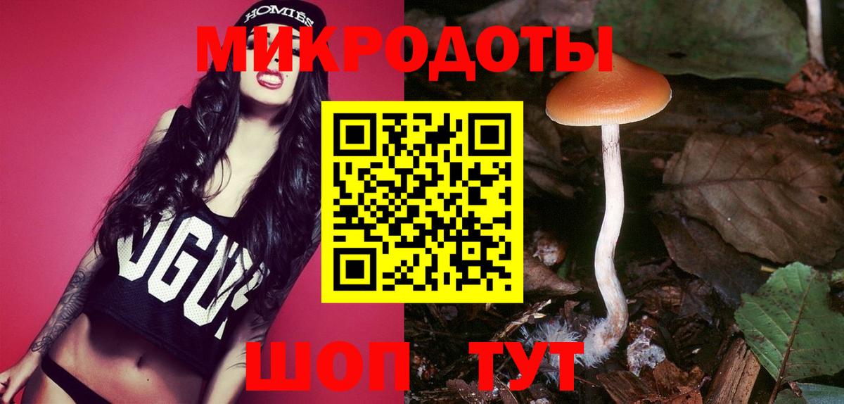 Галлюциногенные грибы Psilocybe Комсомольск-на-Амуре