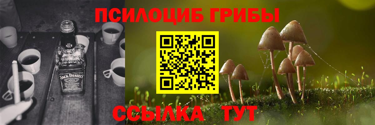 Комсомольск-на-Амуре  Псилоцибиновые грибы Magic Shrooms  Галлюциногенные грибы MAGIC MUSHROOMS  Вход с VPN 